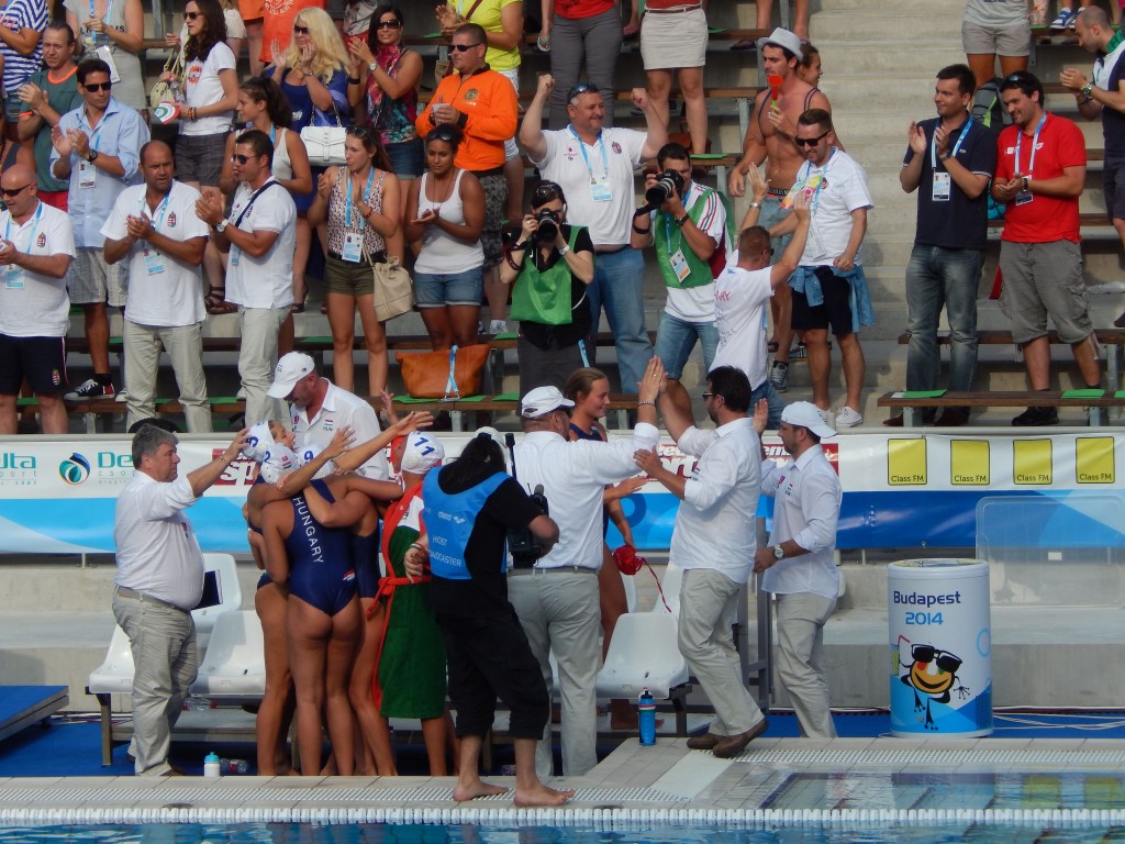 2014 noi valogatott bronermes