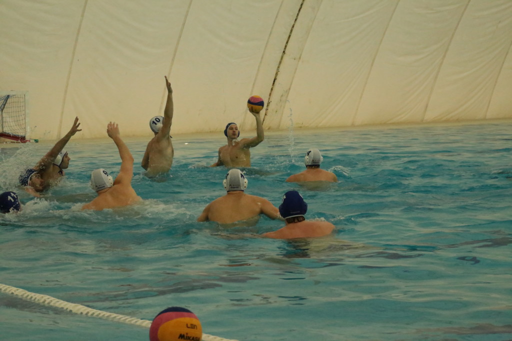 vizipolo.hu